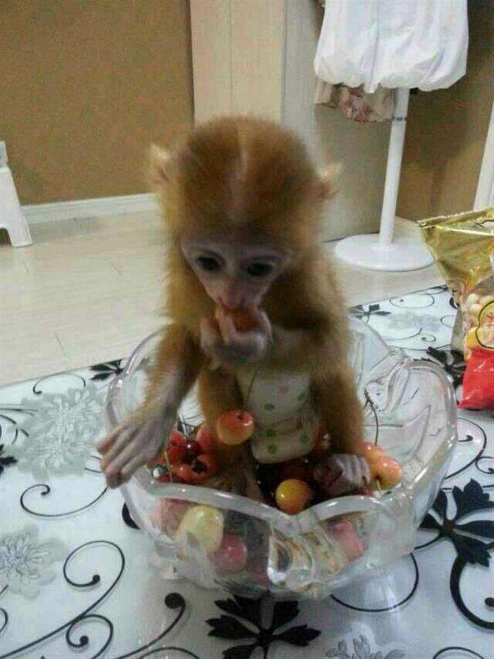 存款证明和存单